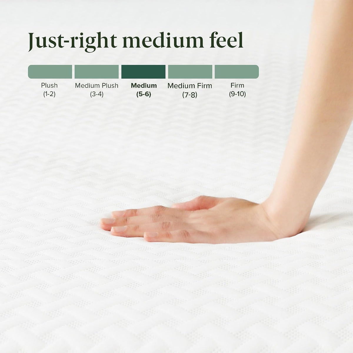Zinus 10 Inch Queen Green Tea Essential Memory Foam Mattress, Medium Feel